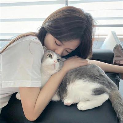 锦月如歌